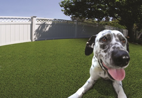 synthetic grass for pets